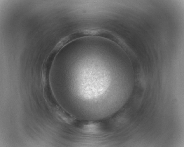 X0000083040312200702021158