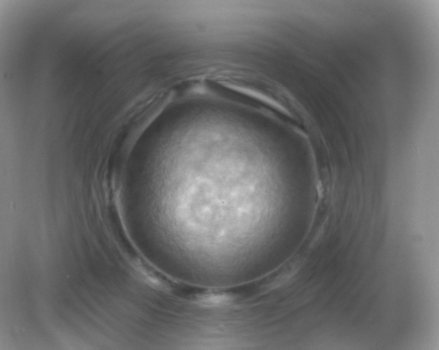 X0000083040313200702021158