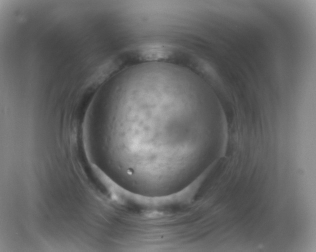 X0000083040315200702021158