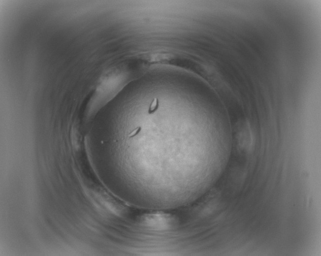 X0000083040316200702021158