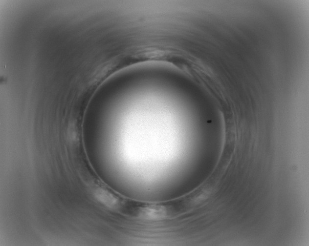 X0000083040317200702021158