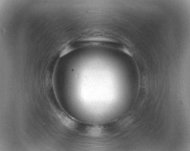 X0000083040318200702021158