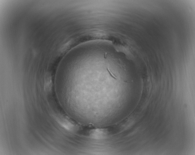 X0000083040320200702021158