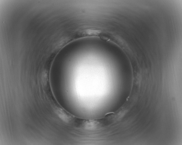 X0000083040321200702021158