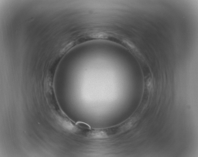 X0000083040322200702021158