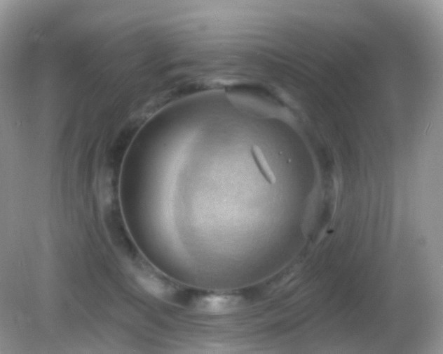 X0000083040323200702021158