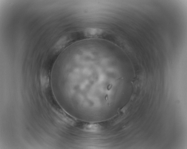 X0000083040324200702021158