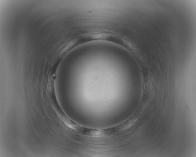 X0000083040325200702021158