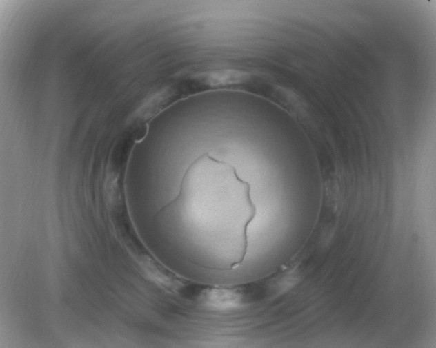 X0000083040327200702021158