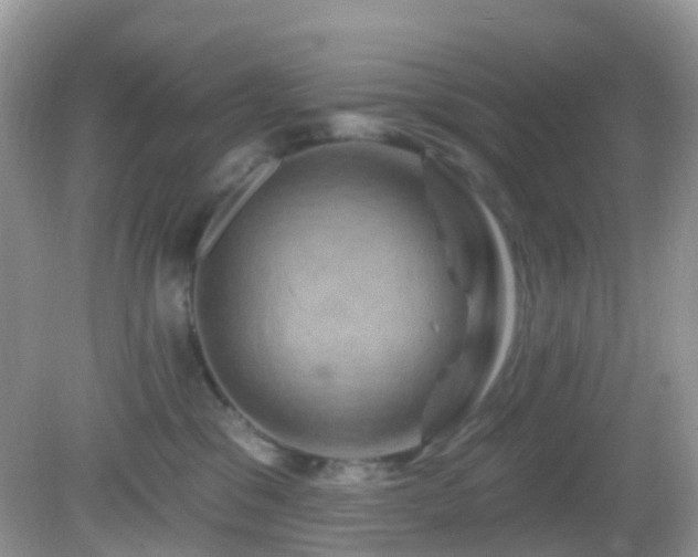 X0000083040329200702021158