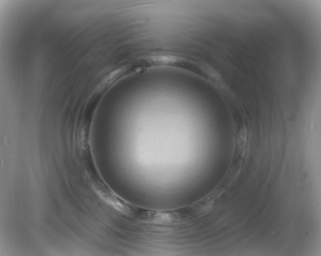 X0000083040330200702021158