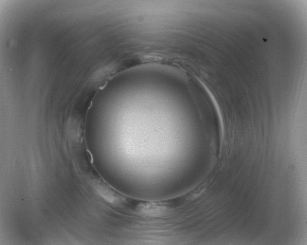 X0000083040331200702021158