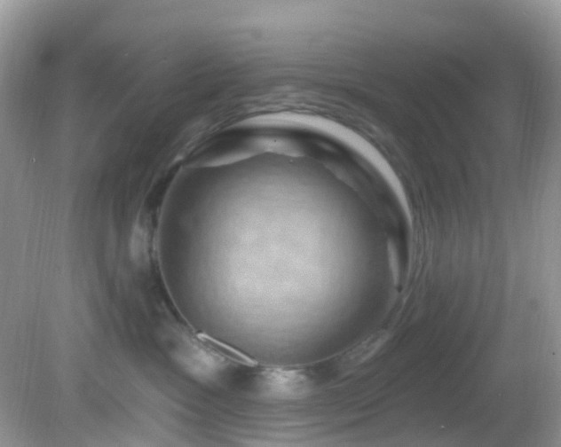 X0000083040333200702021158