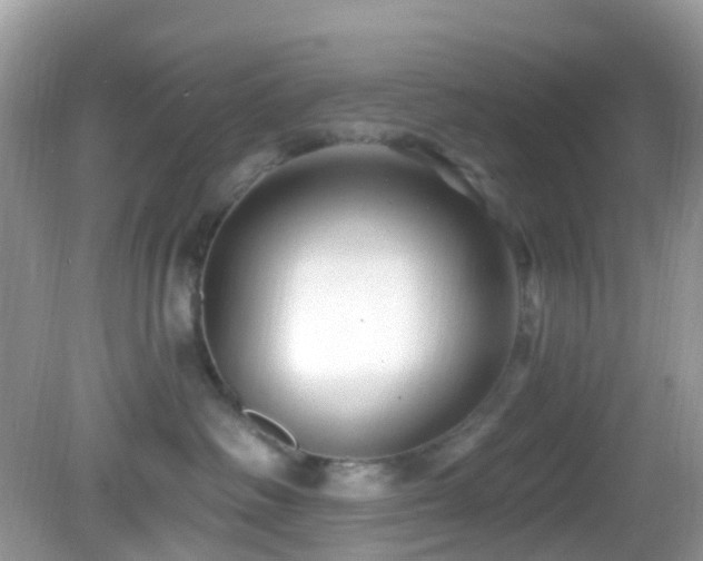 X0000083040334200702021158