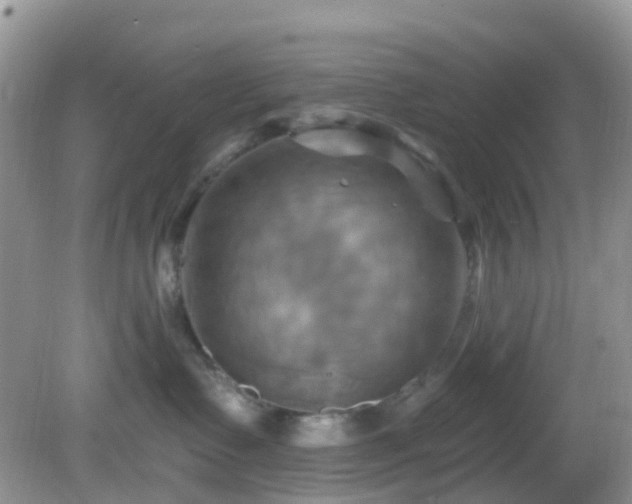 X0000083040335200702021158