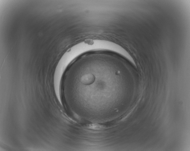 X0000083040336200702021158