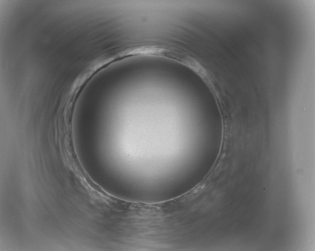 X0000083040337200702021157