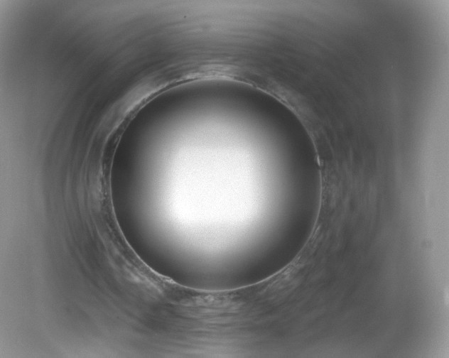 X0000083040338200702021157