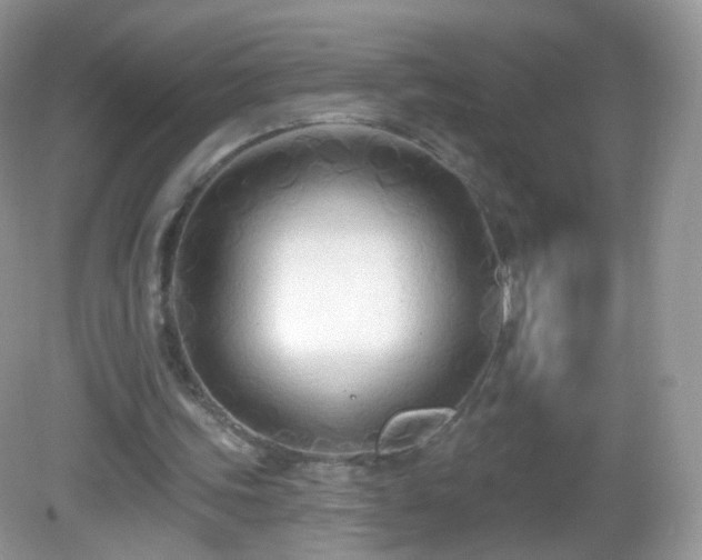 X0000083040339200702021157