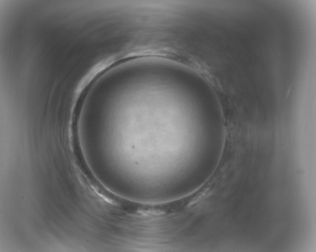 X0000083040340200702021157