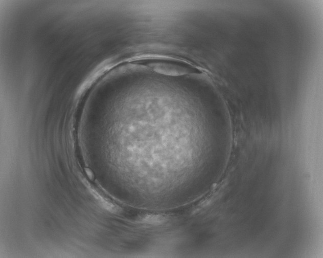 X0000083040341200702021157