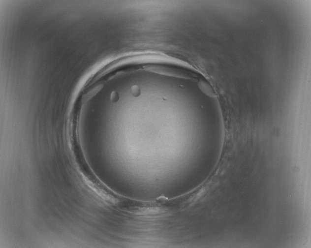 X0000083040342200702021157