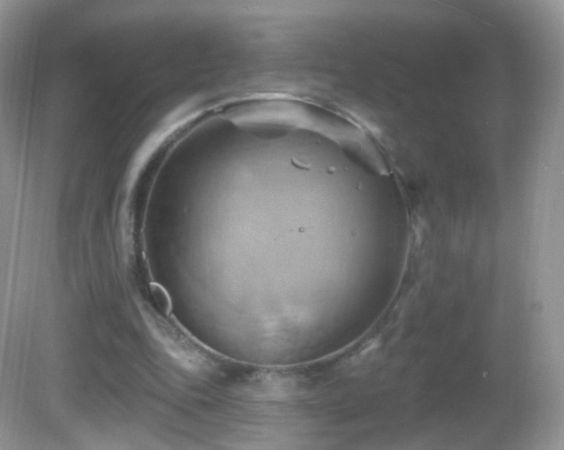 X0000083040343200702021157