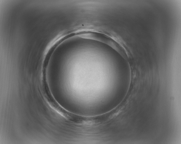 X0000083040344200702021157