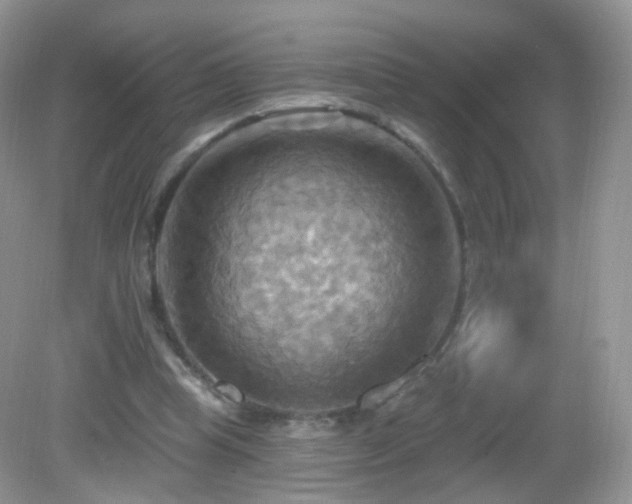 X0000083040345200702021157