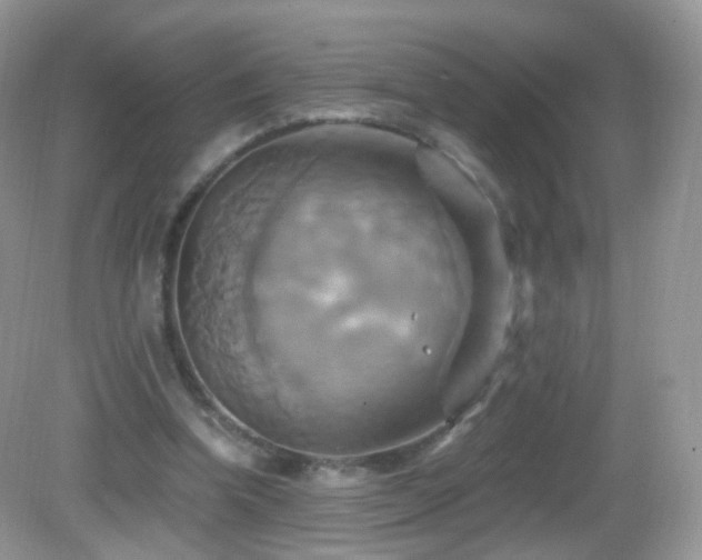 X0000083040346200702021157