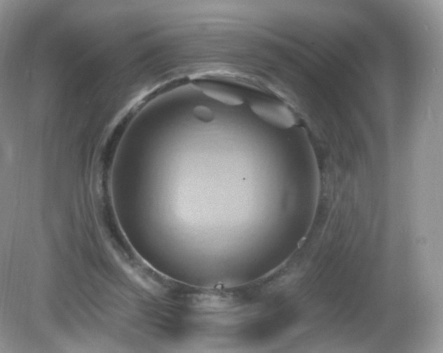 X0000083040347200702021157