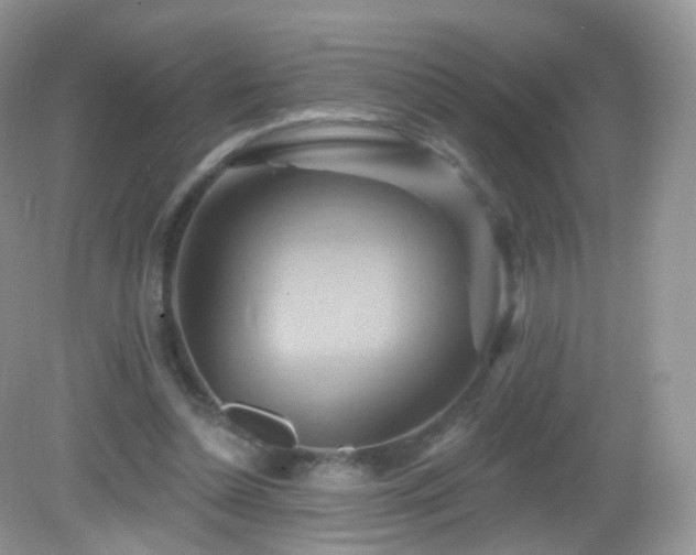 X0000083040348200702021157