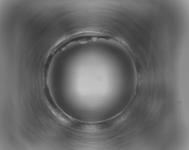 X0000083040349200702021157