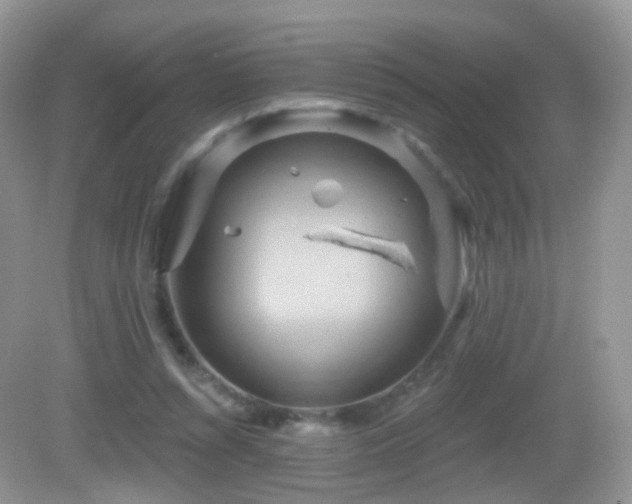 X0000083040352200702021158