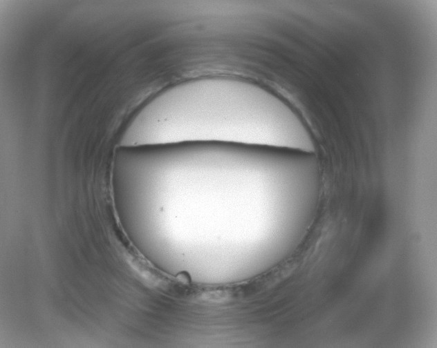 X0000083040353200702021158