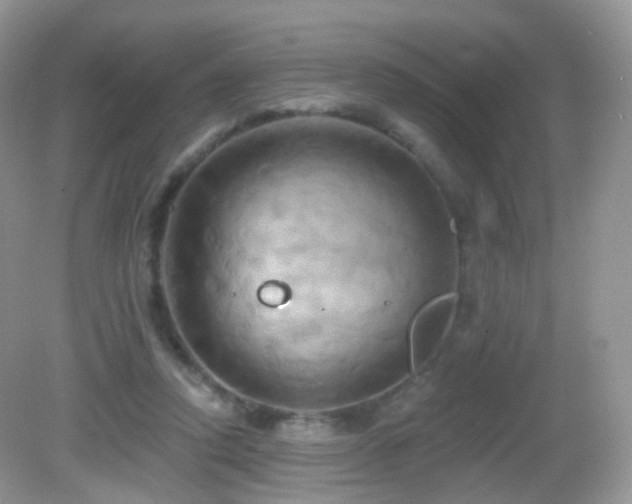 X0000083040354200702021158