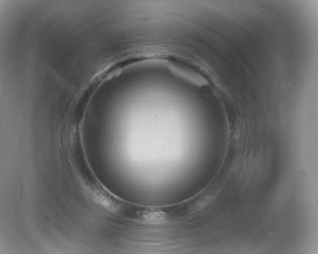 X0000083040355200702021158