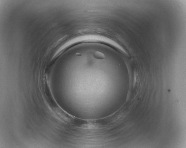 X0000083040356200702021158