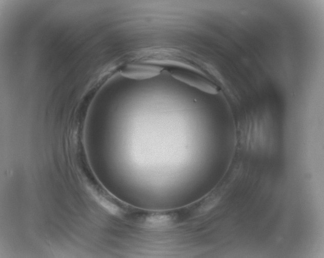 X0000083040357200702021158