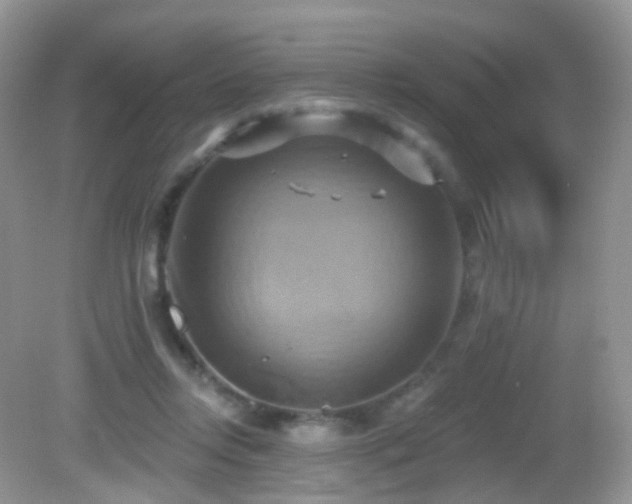 X0000083040358200702021158