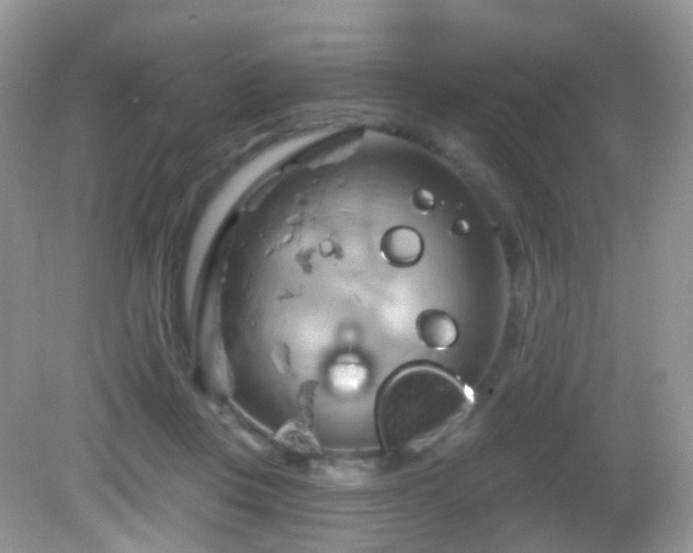 X0000083040359200702021158