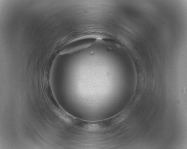 X0000083040361200702021158