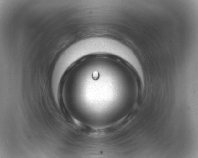 X0000083040362200702021158