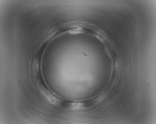 X0000083040363200702021158