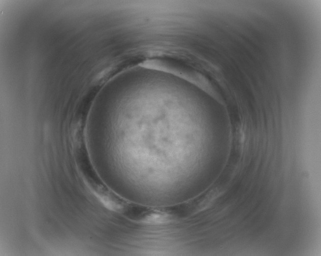 X0000083040364200702021158