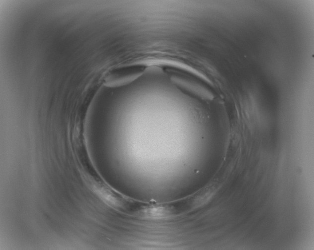 X0000083040365200702021158