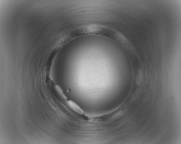 X0000083040366200702021158