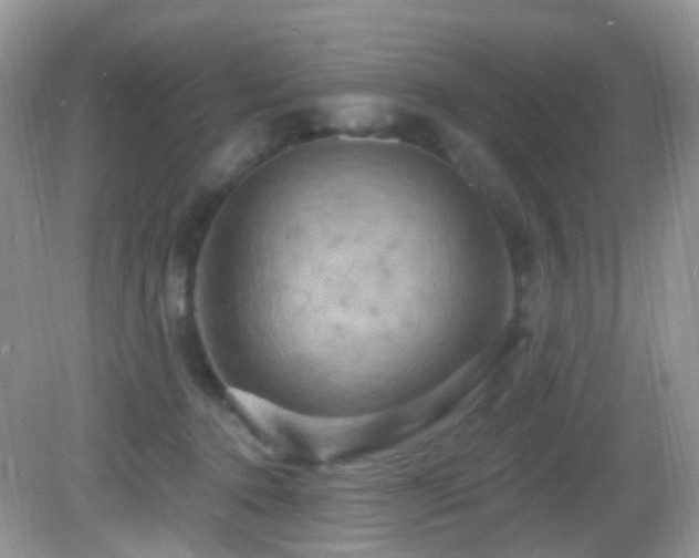 X0000083040368200702021158