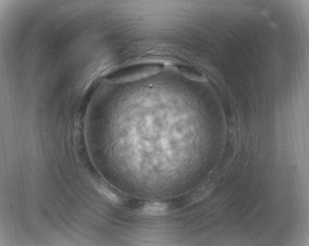 X0000083040369200702021158