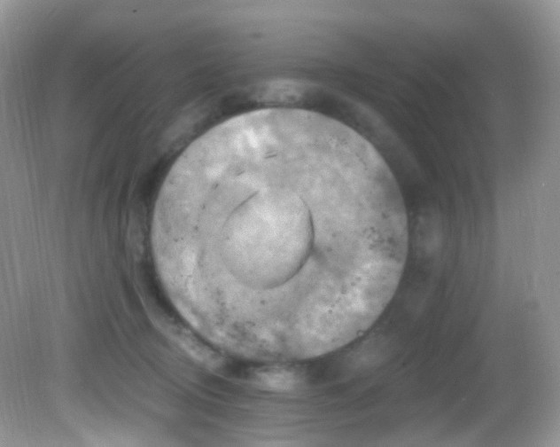 X0000083040370200702021158